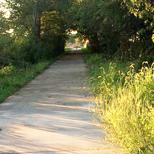 Lincoln Prairie Trail